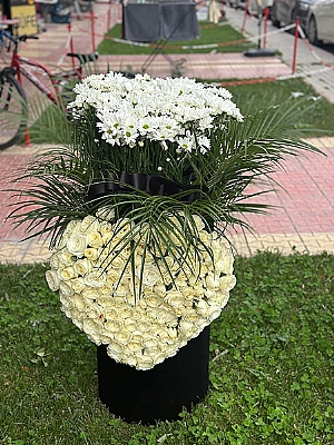 VIP Kutuda Gl ve Papatya